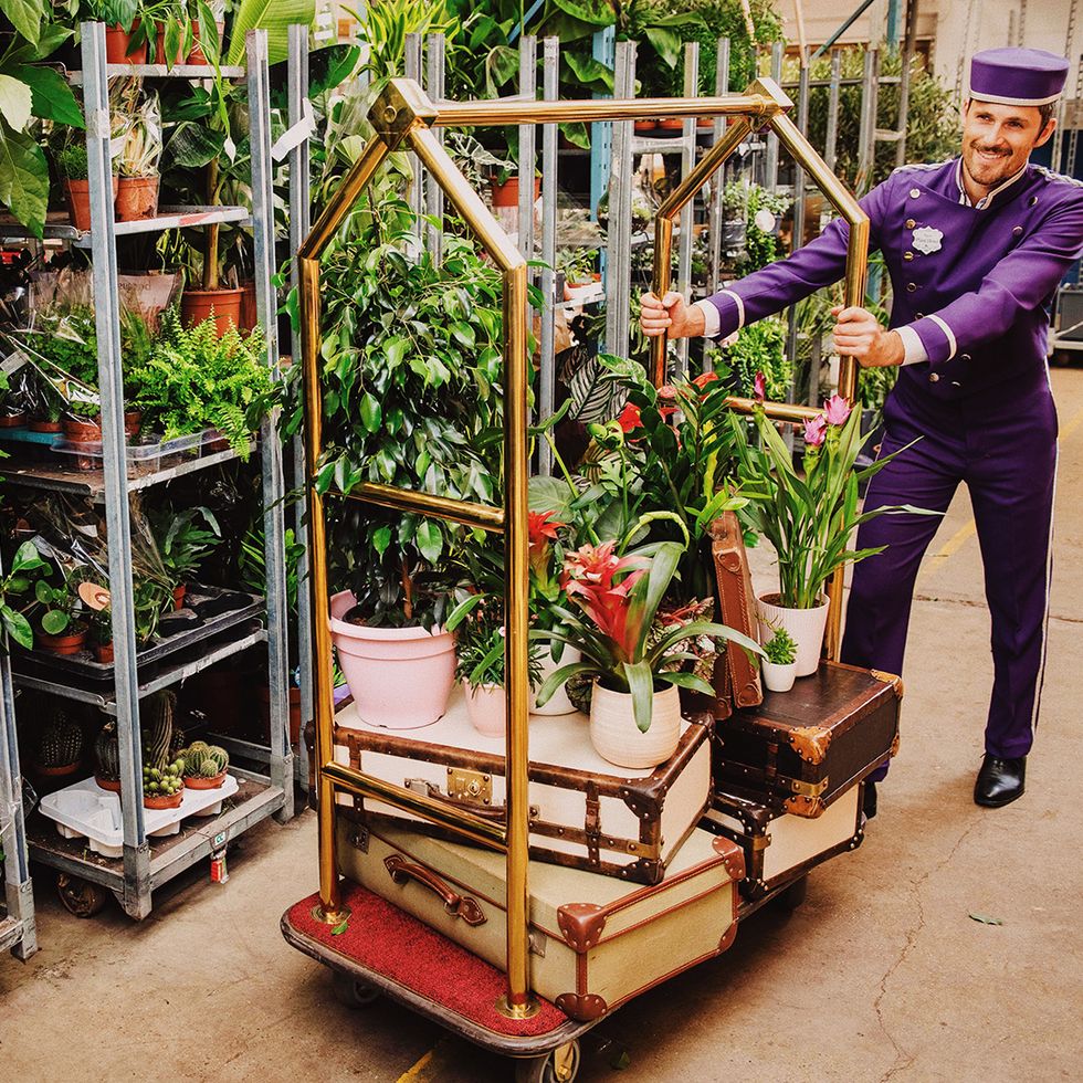 HOTEL PARA PLANTAS